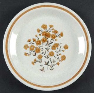 Nikko Sage Salad Plate, Fine China Dinnerware   Colorstone,Brown Band&Floral Cen