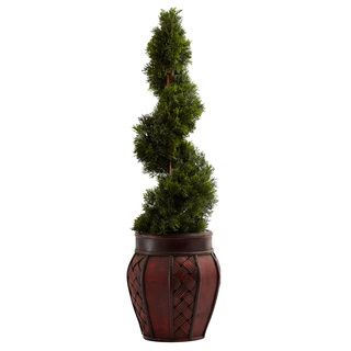 Cedar Spiral Topiary And Decorative Planter