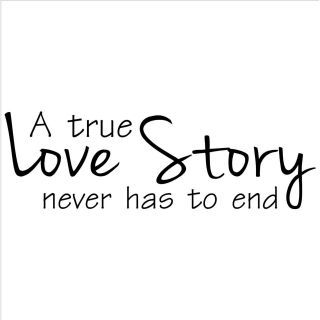 A True Love Story Never Has To End Vinyl Wall Art Lettering (12.5 inches high x 40 inches wideImage dimensions 12.5 inches tall x 18 inches wide )