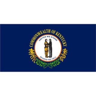 Kentucky State Flag   3 x 5