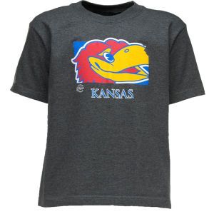 Kansas Jayhawks NCAA Youth Jayhawks State Insider T Shirt