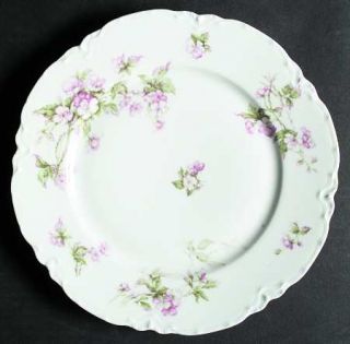 Haviland Schleiger 241b Dinner Plate, Fine China Dinnerware   H&Co,Blank 1,Pink/