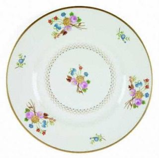 Syracuse Coventry Large Dinner Plate, Fine China Dinnerware   Old Ivory,Pink/Blu