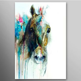 Hand Painted Oil Painting Animal Abstract Horse Head with Stretched Frame Ready to Hang