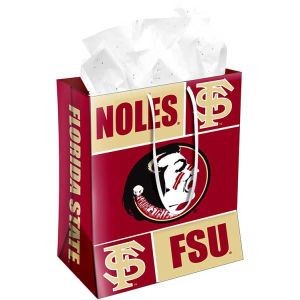 Florida State Seminoles Forever Collectibles Gift Bag Medium NCAA