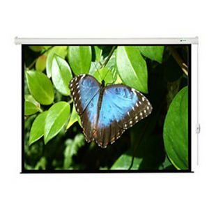 Readleaf Projection Screen Curtain