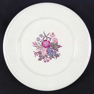 Wedgwood Cavalier/Meadow Dinner Plate, Fine China Dinnerware   Edme, Multicolor