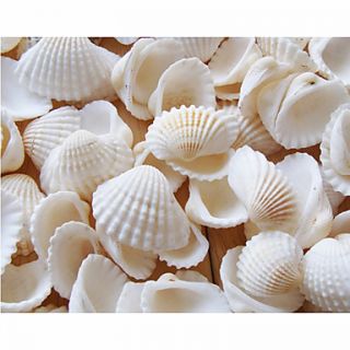 Beach Themed Seashell Wedding Shower Table Decorations (Pack of 90)