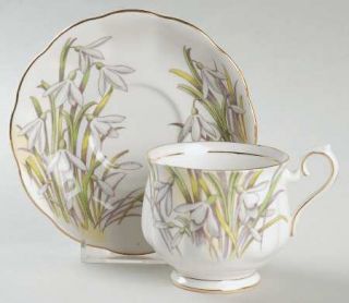 Royal Albert Flower Of The Month (Older, Hampton) Footed Cup & Saucer Set, Fine