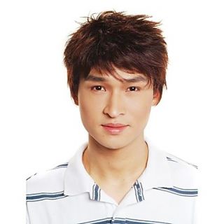 Capless Short Synthetic Brown Mens Straight Hair Wig