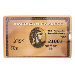 Brown Card Typed CompactFlash Memory Cards 2G
