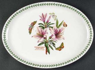Portmeirion Botanic Garden 14 Oval Steak Platter, Fine China Dinnerware   Vario