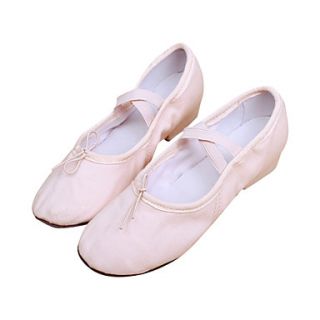 Womens Canvas Dance Shoes For Modern/Ballroom(More Colors)