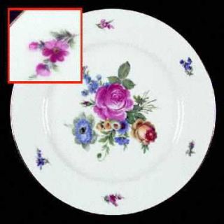 Seltmann Slt3 Dinner Plate, Fine China Dinnerware   Multicolor Floral,White Body
