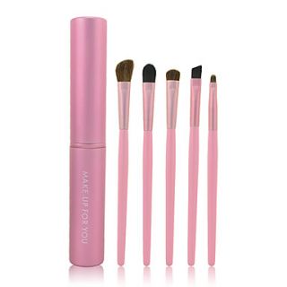 High Quality 5 PCs Synthetic Hair Makeup Eye Brush Set with Pink Cylinder