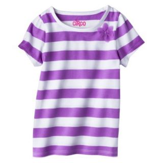 Circo Infant Toddler Girls Short Sleeve Striped Tee   Vibrant Orchid 5T