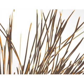 Inhabit Thatch Stretched Wall Art in Sunshine THAO Size 16 x 16