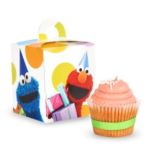 Sesame Street Party   Cupcake Boxes (4)
