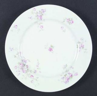 Henri Creanges Crg13 Dinner Plate, Fine China Dinnerware   Pink Roses,Green    L
