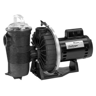 Pentair 343233 Challenger 115/230V SingleSpeed High Flow Pool Pump, 1.0 HP UP Rated