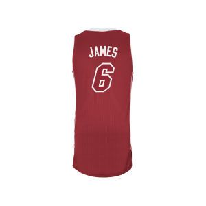 Miami Heat LeBron James adidas NBA Youth Revolution 30 Pride Swingman Jersey