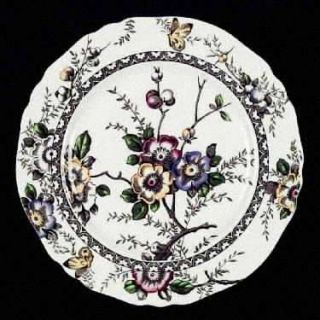Alfred Meakin Medway Decor Dark Brown/Multicolor Salad Plate, Fine China Dinnerw