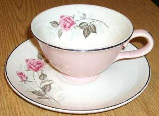 Taylor, Smith & T (TS&T) Tst78 Footed Cup & Saucer Set, Fine China Dinnerware  