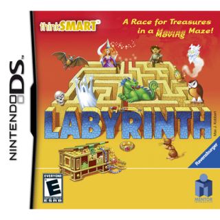 Thinksmart Labyrinth (Nintendo DS)