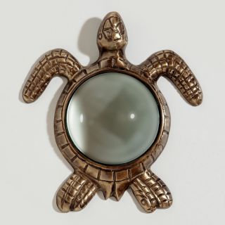 Turtle Magnifying Glass   World Market