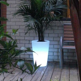 Bon Decor Illuminated Planter Clear with LED Multicolor   BD0770 C RGB, 17L x
