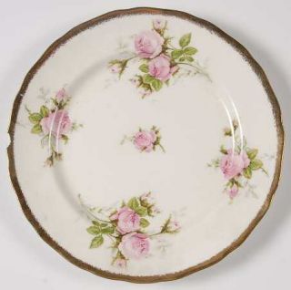 Canonsburg Modern Priscilla Salad Plate, Fine China Dinnerware   Pink Roses Rim