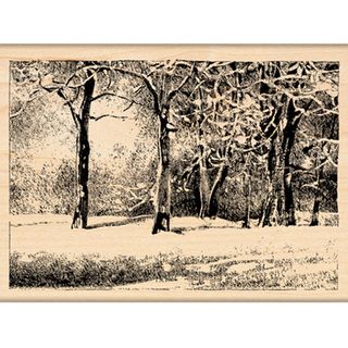 Penny Black Mounted Rubber Stamp 3x4.25 snowy Park