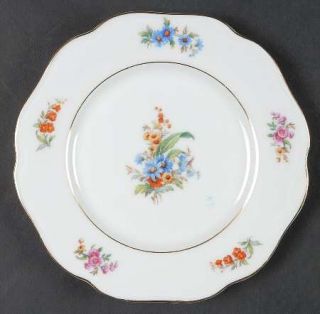 Bohemia Ceramic Rhoda Bread & Butter Plate, Fine China Dinnerware   Florals Rim
