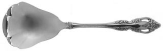 Oneida Brahms (Stainless) Solid Shell Casserole Spoon   Stainless, Community, Be