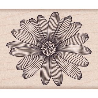 Hero Arts Mounted Rubber Stamps 4x1 etched Daisy