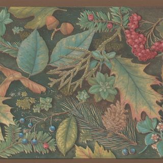 Brewster Green Forest Border Wallpaper (GreenDimensions 5.125 inches high x 15 inches wideNeutralTheme NatureMaterials Solid sheet vinylSet of one (1)Care Instructions ScrubbableHanging Instructions Prepasted )