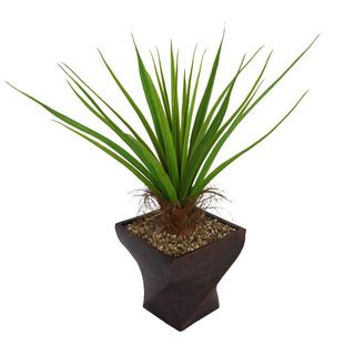 Laura Ashley 54 inch Tall Agave Plant With Cocoa Skin In Fiberstone Planter