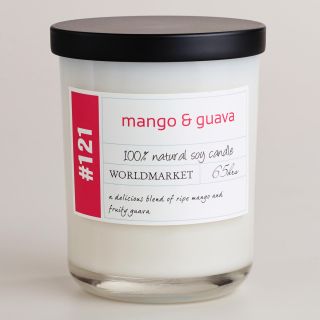 Mango and Guava Soy Filled Jar Candle   World Market