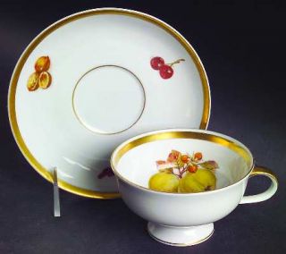 Jaeger Harvest Footed Cup & Saucer Set, Fine China Dinnerware   Fruits& Nuts, Br