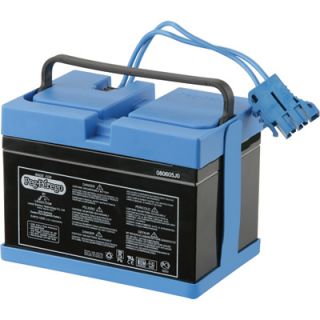 Peg Perego Replacement Battery for Kids Riding Vehicles   12 Volt, Model#