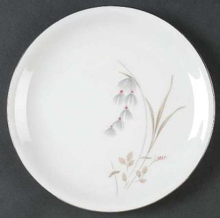 Saladmaster Fantasy Bread & Butter Plate, Fine China Dinnerware   Gray/Tan/Red F