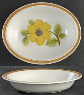 Royal Doulton Summer Days 10 Oval Vegetable Bowl, Fine China Dinnerware   Brown
