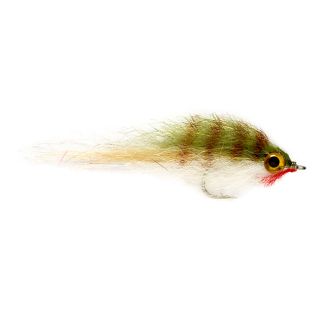 Chicones Gt Pinfish, Olive/White, 1/0