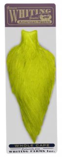 Whiting American Hackle Cape, Yellow Chartrus, Type Dyed