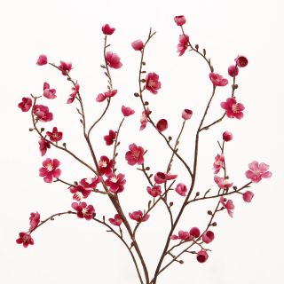 Pink Velvet Plum Blossoms, Set of 2   World Market