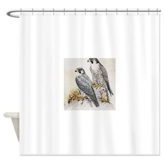  Peregrine falcon (Falco peregrinus) Shower Curtain  Use code FREECART at Checkout