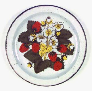 WR Midwinter Strawberry Dinner Plate, Fine China Dinnerware   Stonehenge,